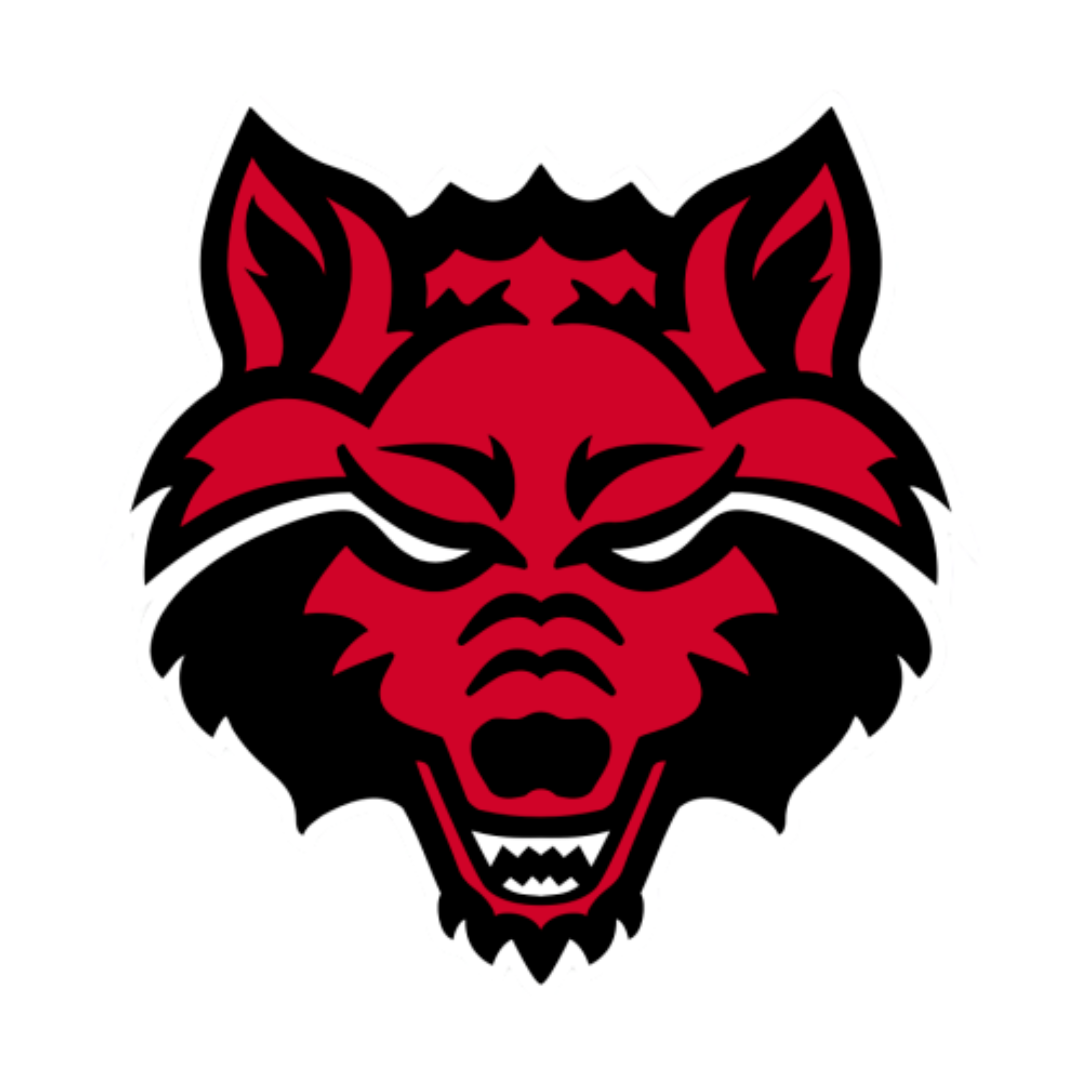 Arkansas State University