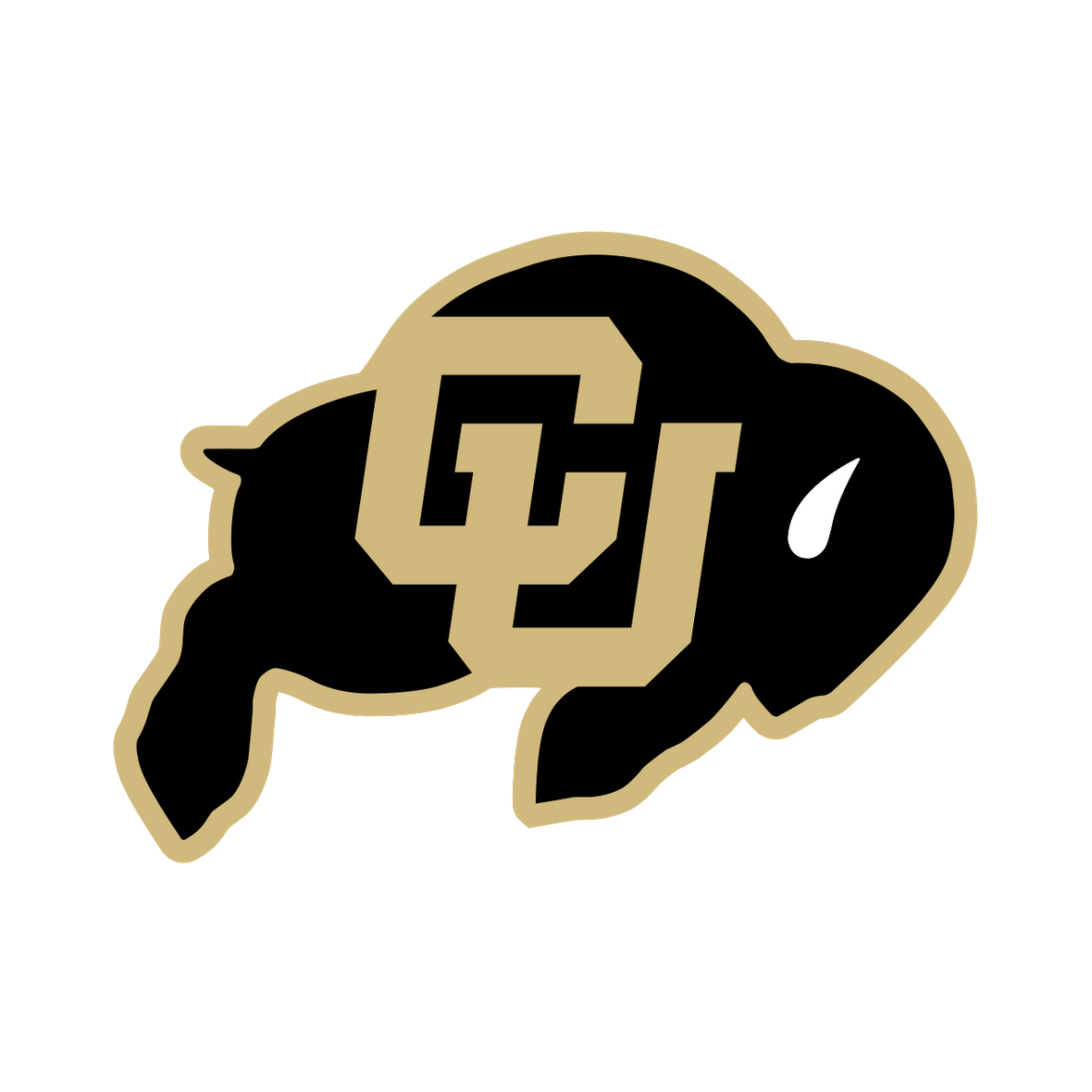 Colorado Buffaloes