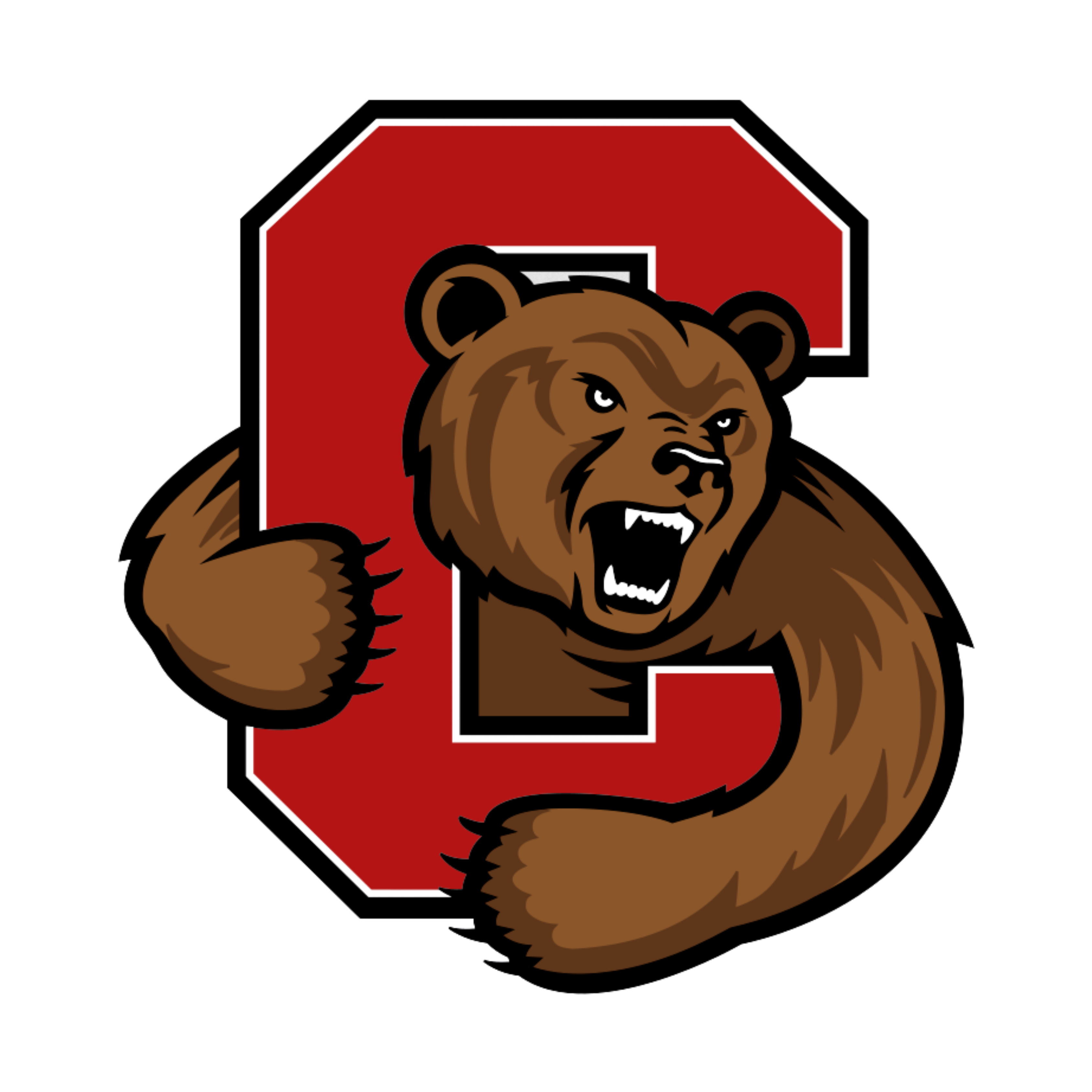 Cornell Univeristy