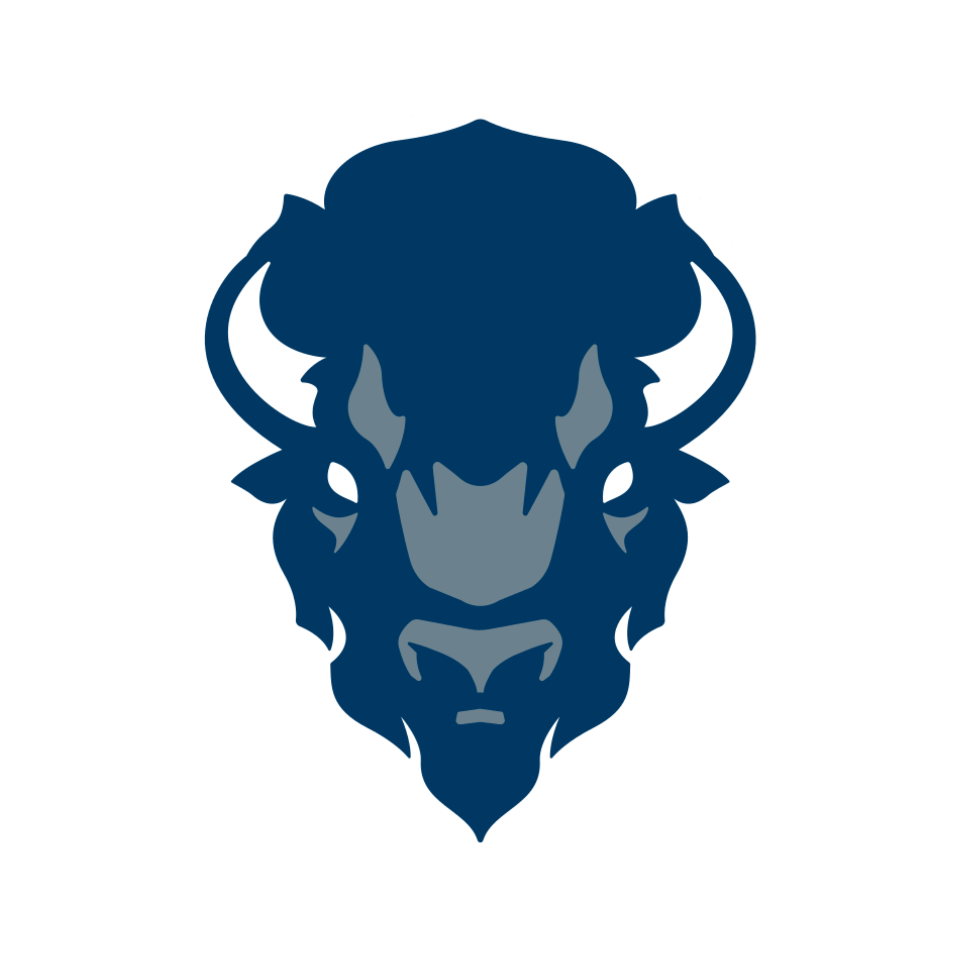 Howard Bison