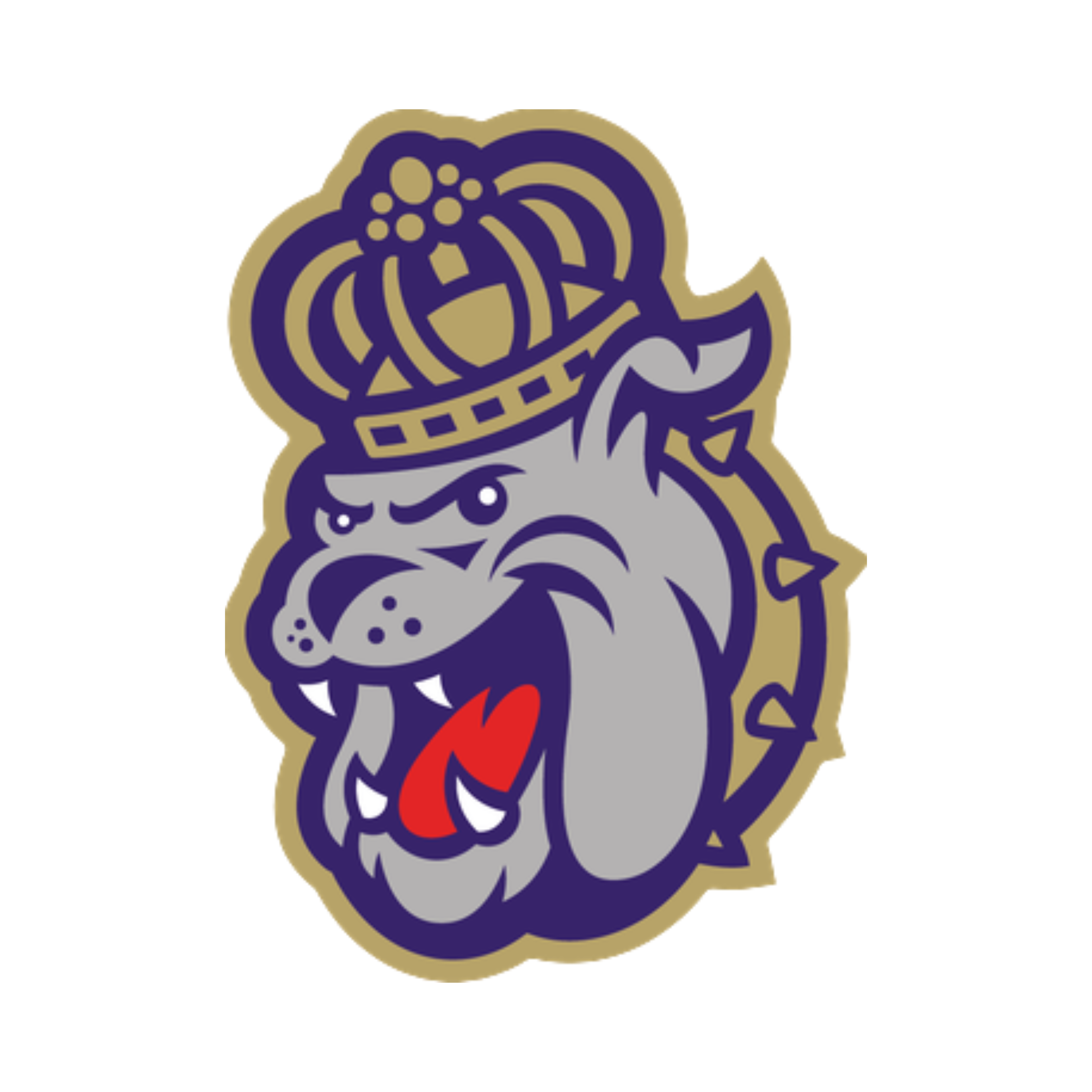 James Madison University