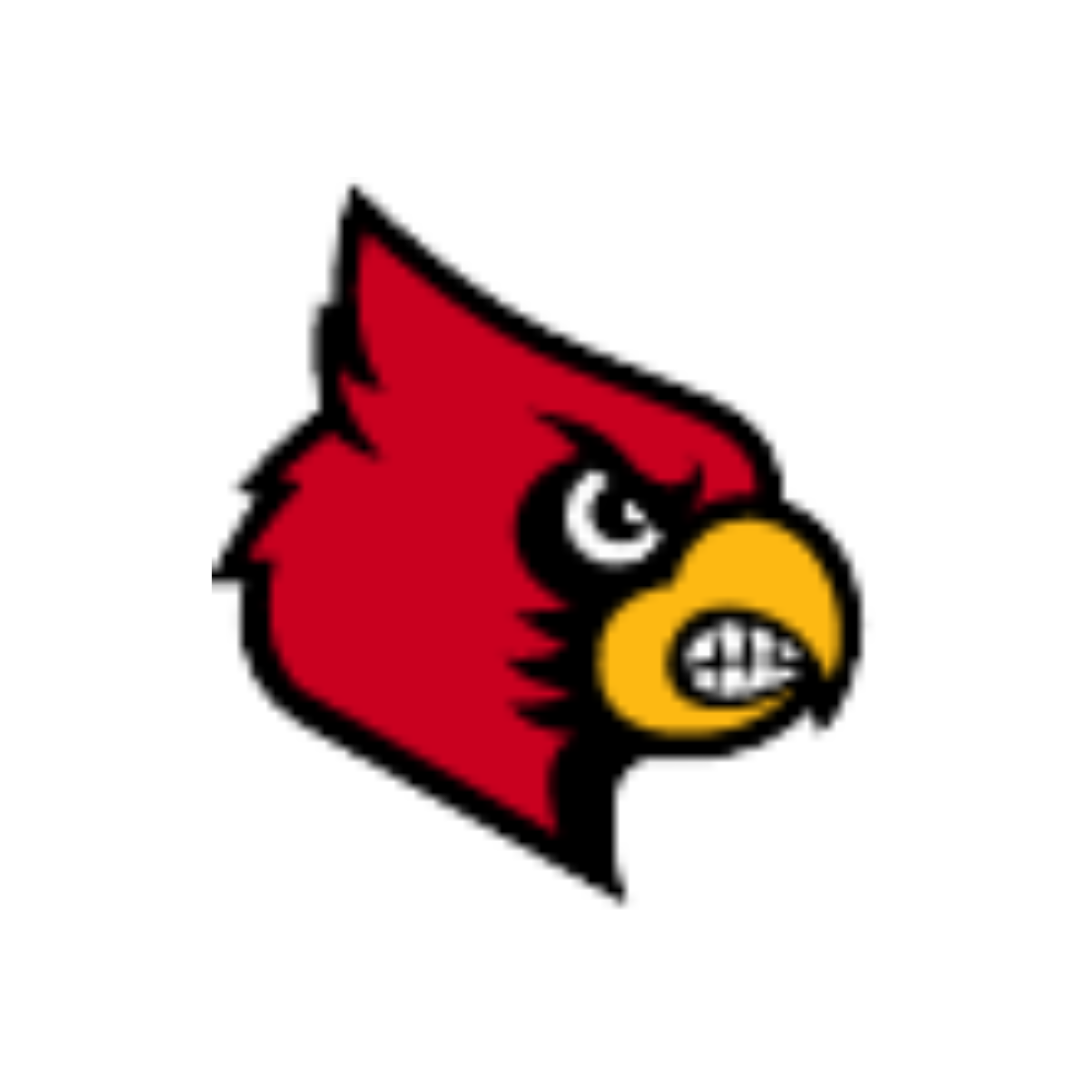 Louisville Cardinals