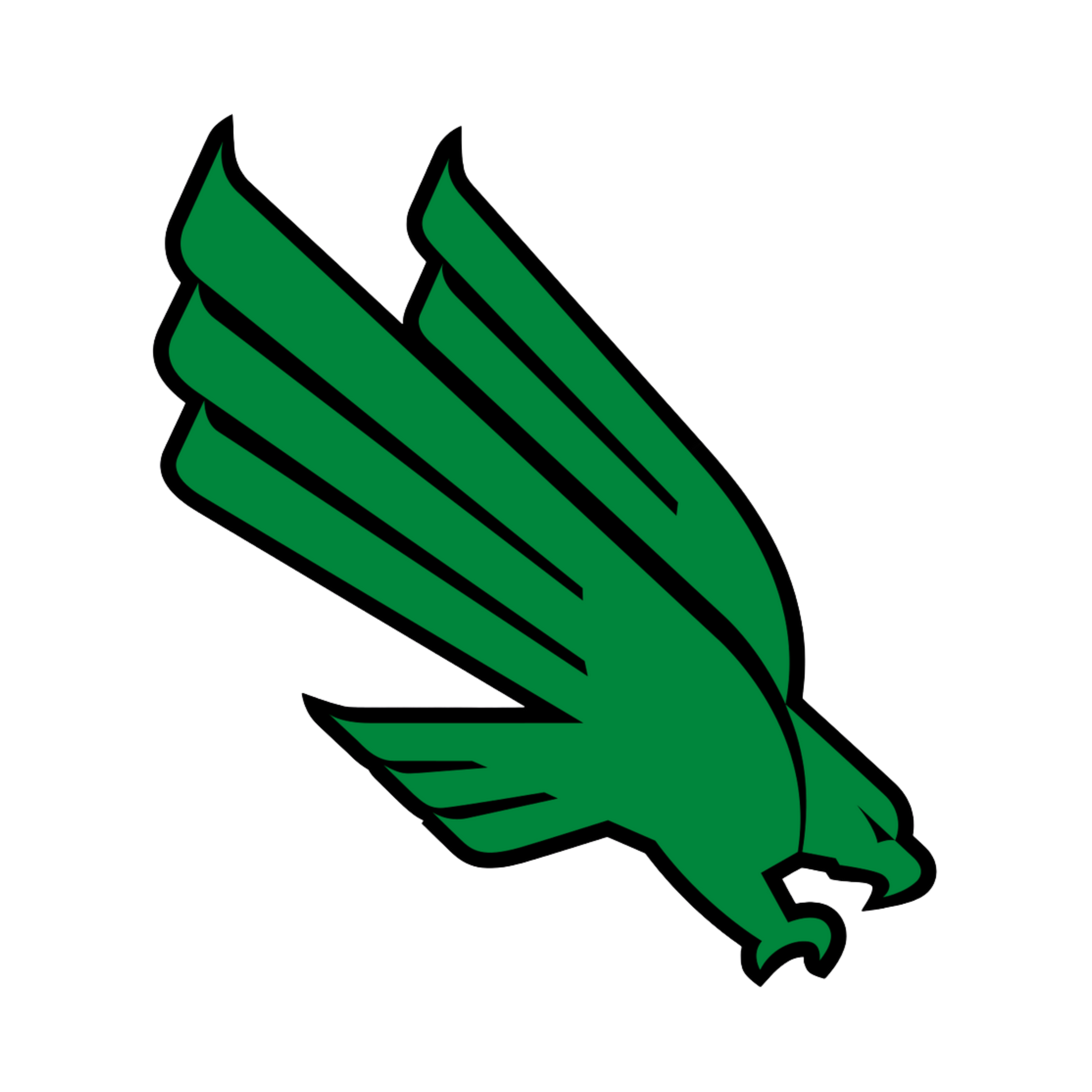 North Texas University