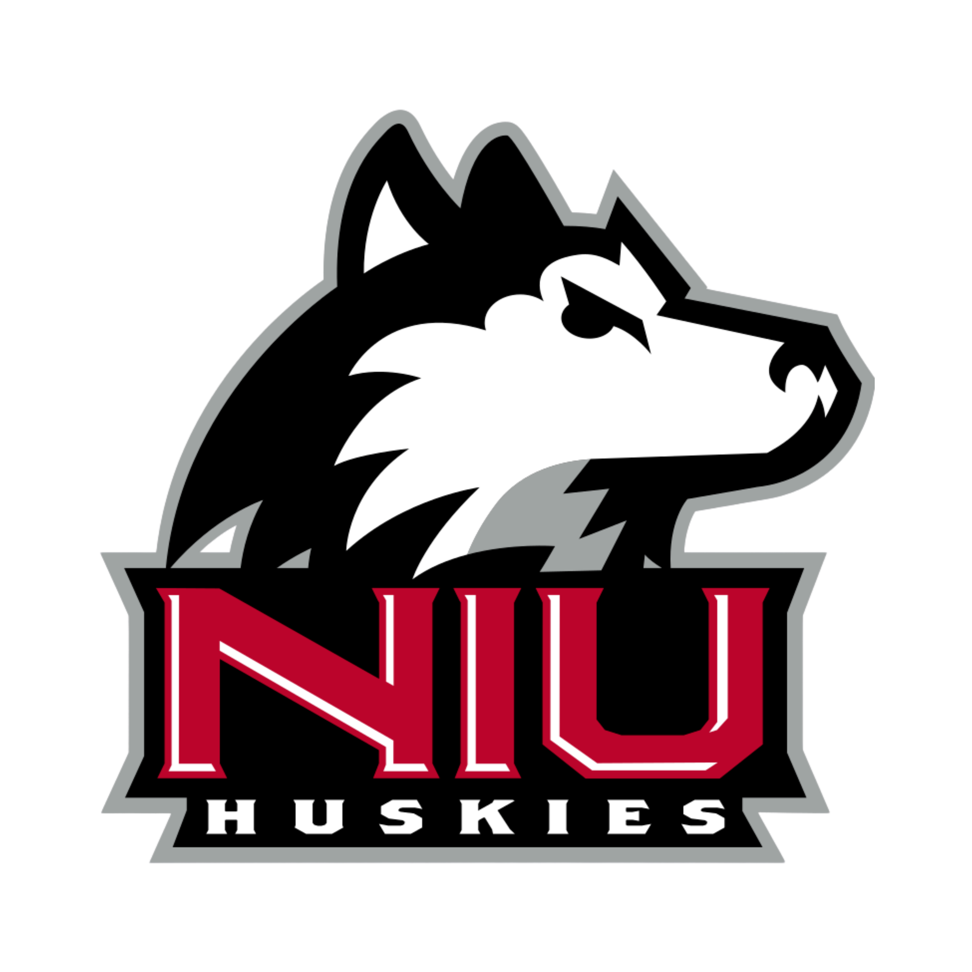 Northern Illinois Huskies