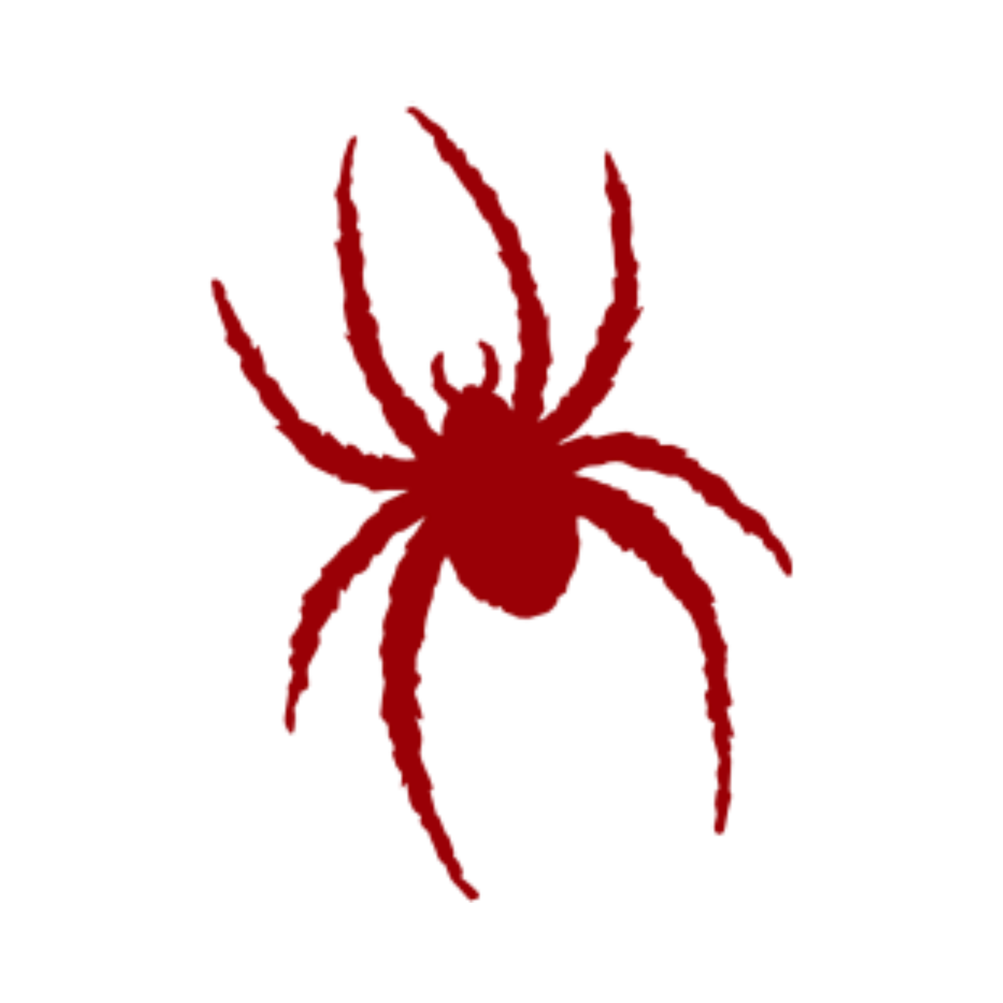 Richmond Spiders