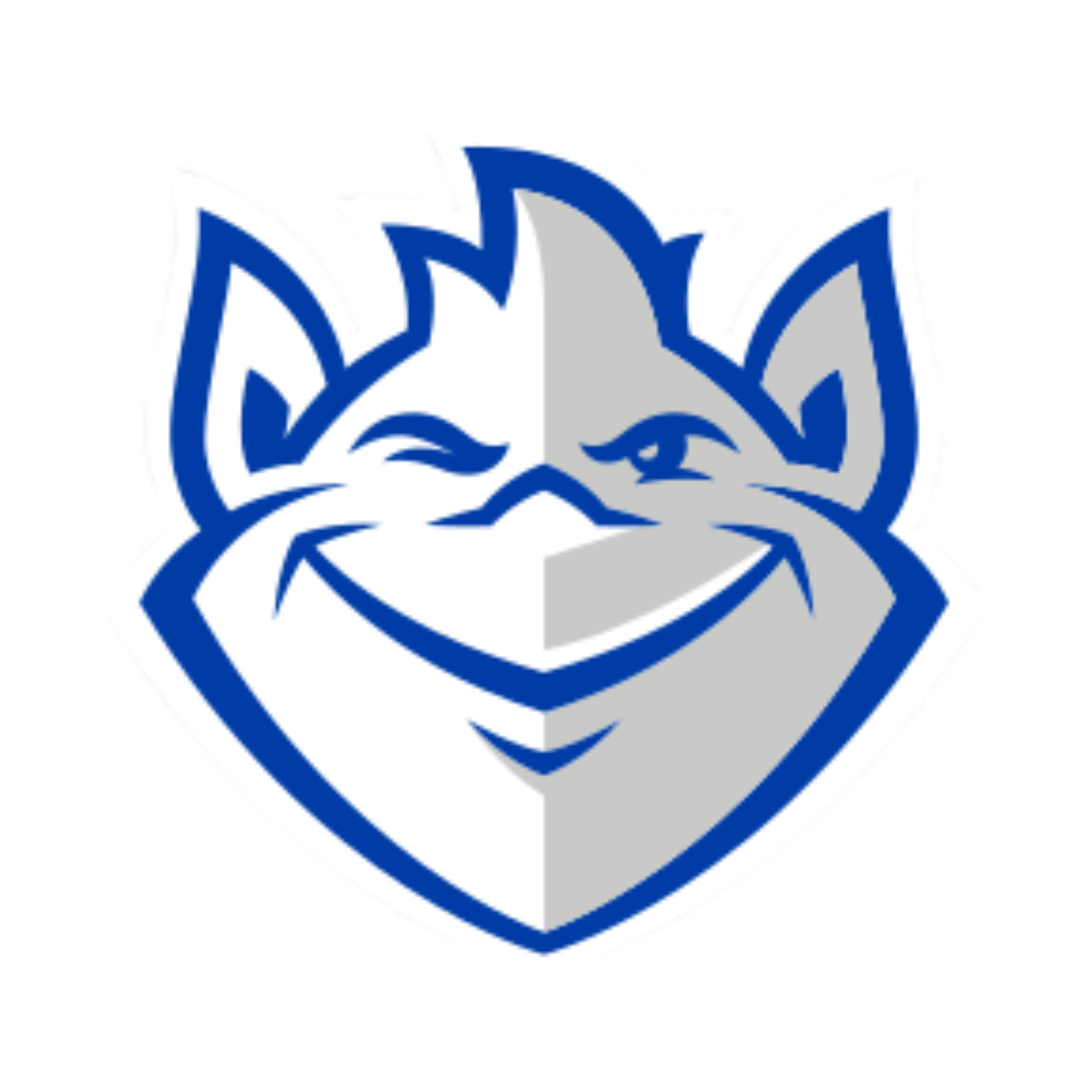 Saint Louis Billikens