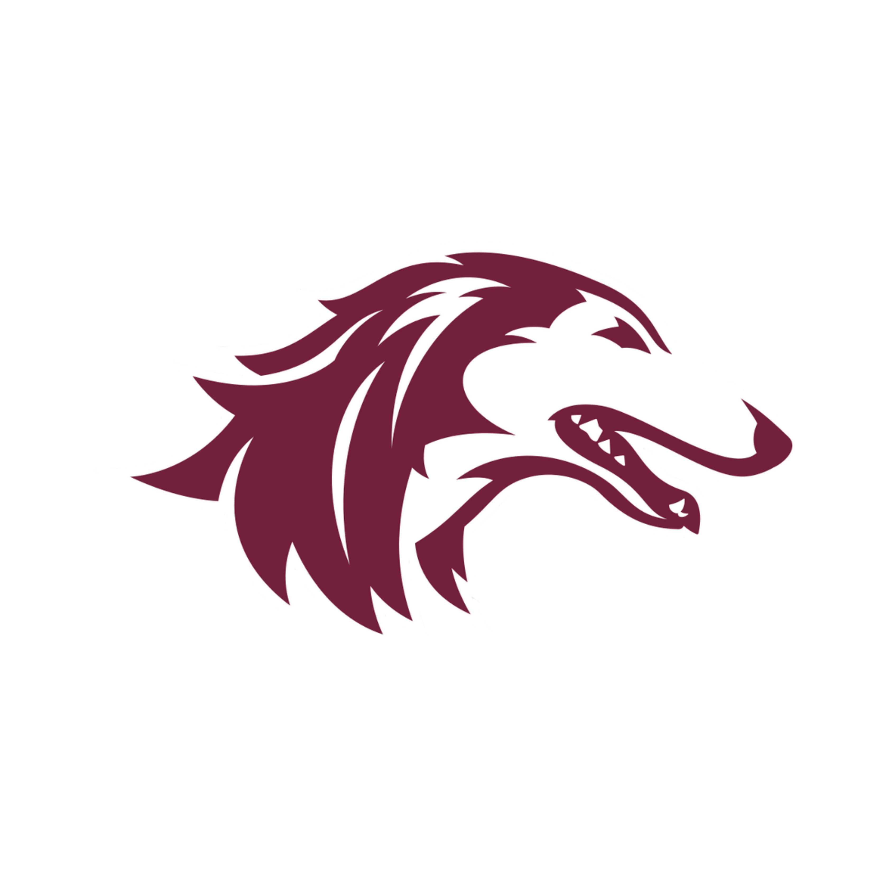 Southern Illinois University