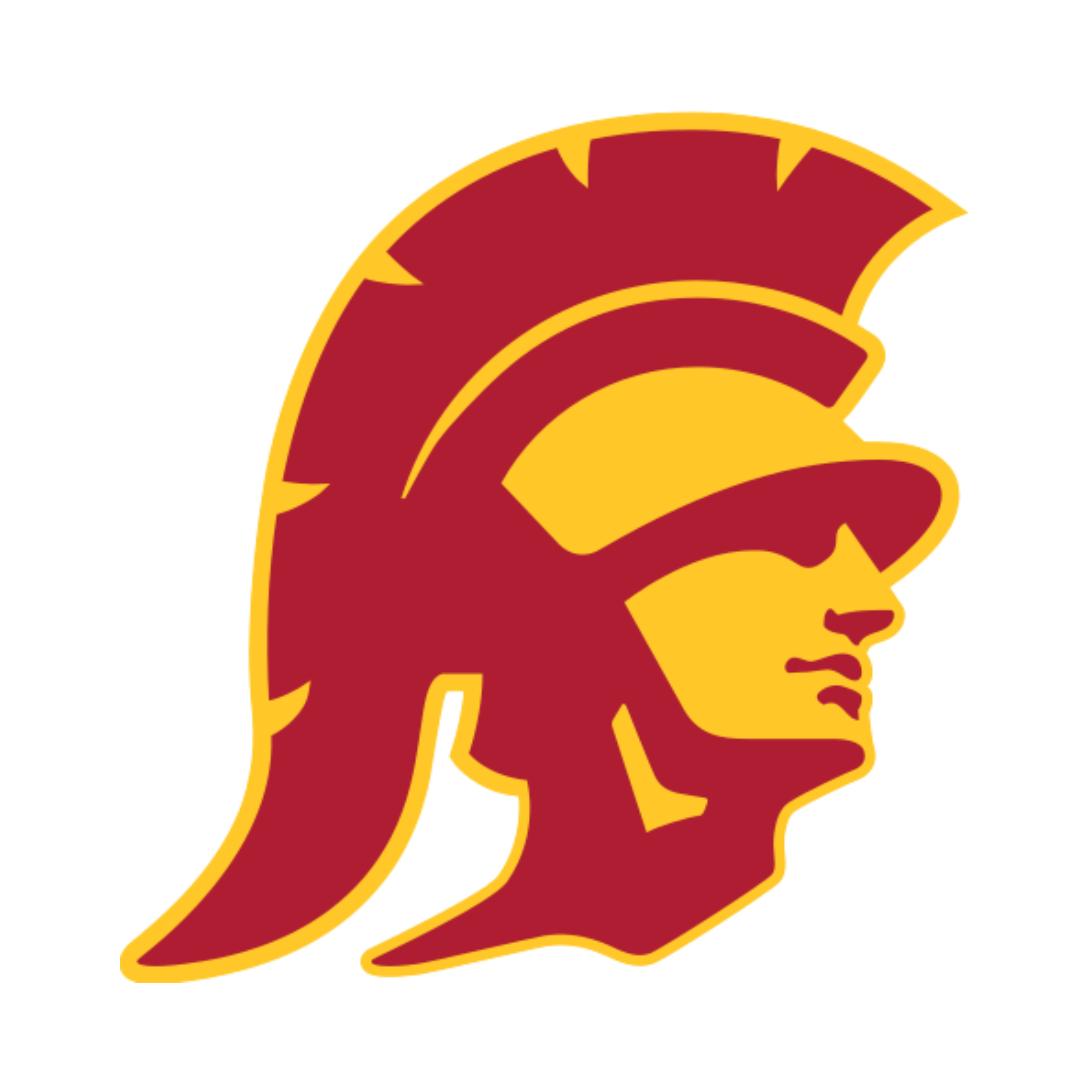 USC Trojans