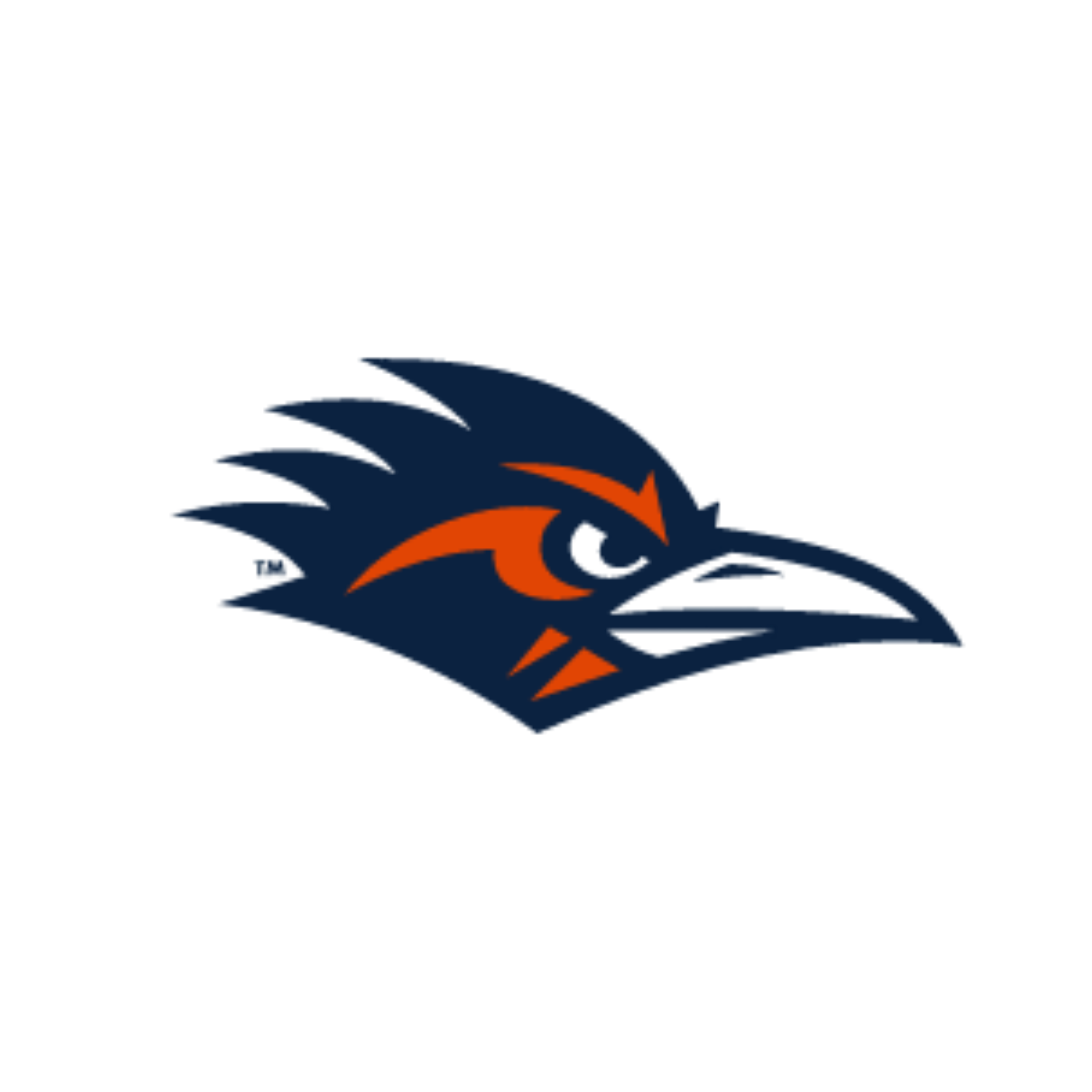 UTSA Roadrunners