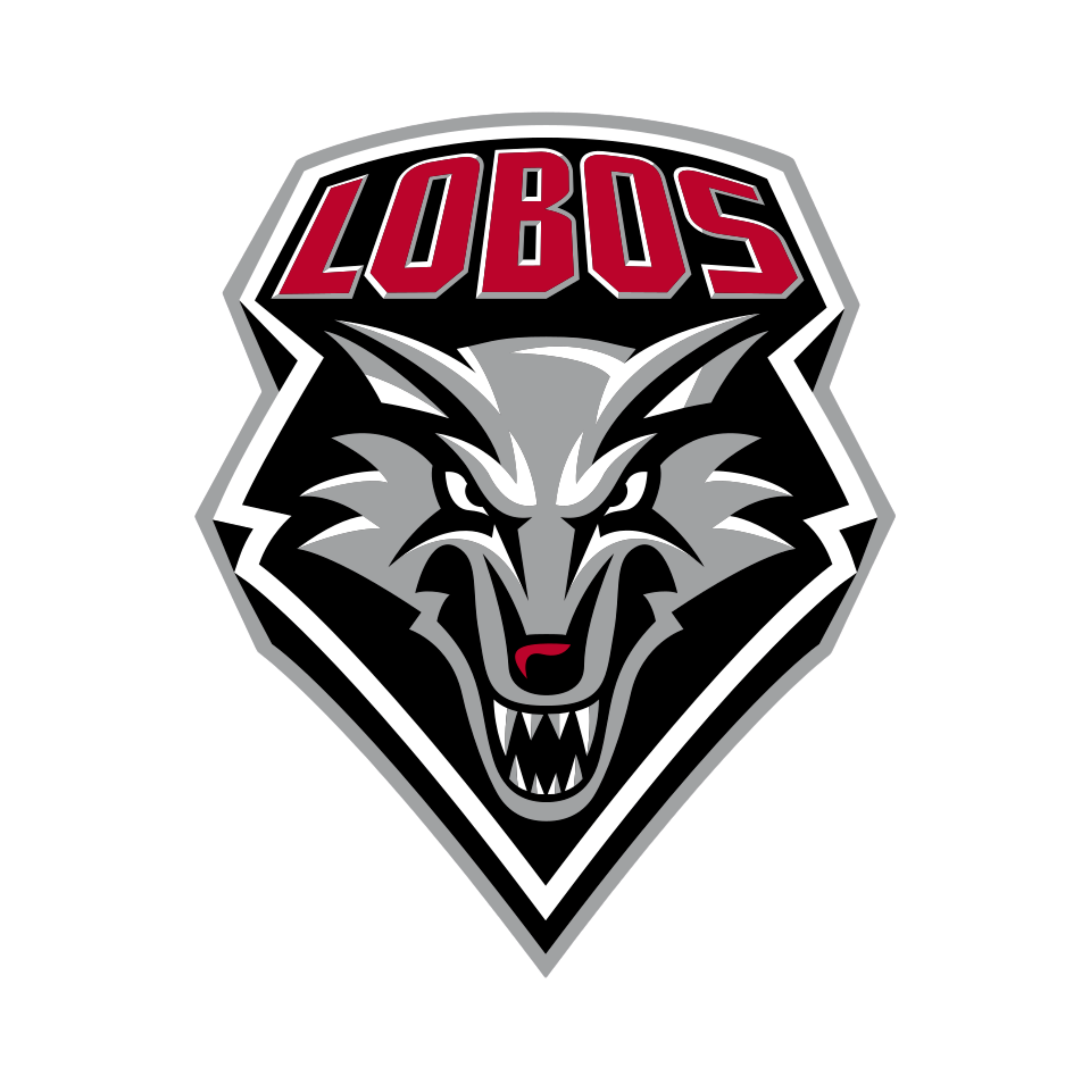 University of New Mexico