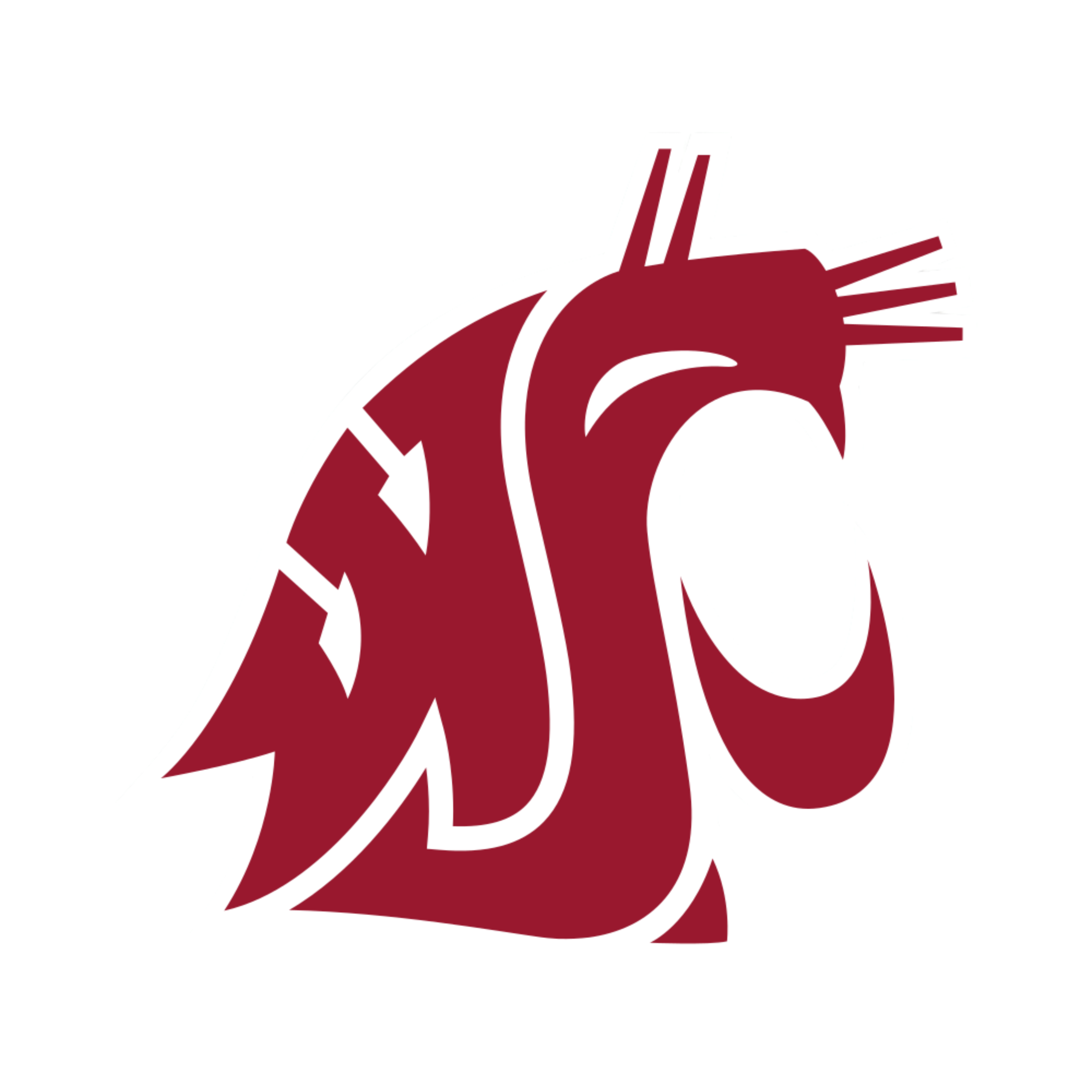 Washington State University