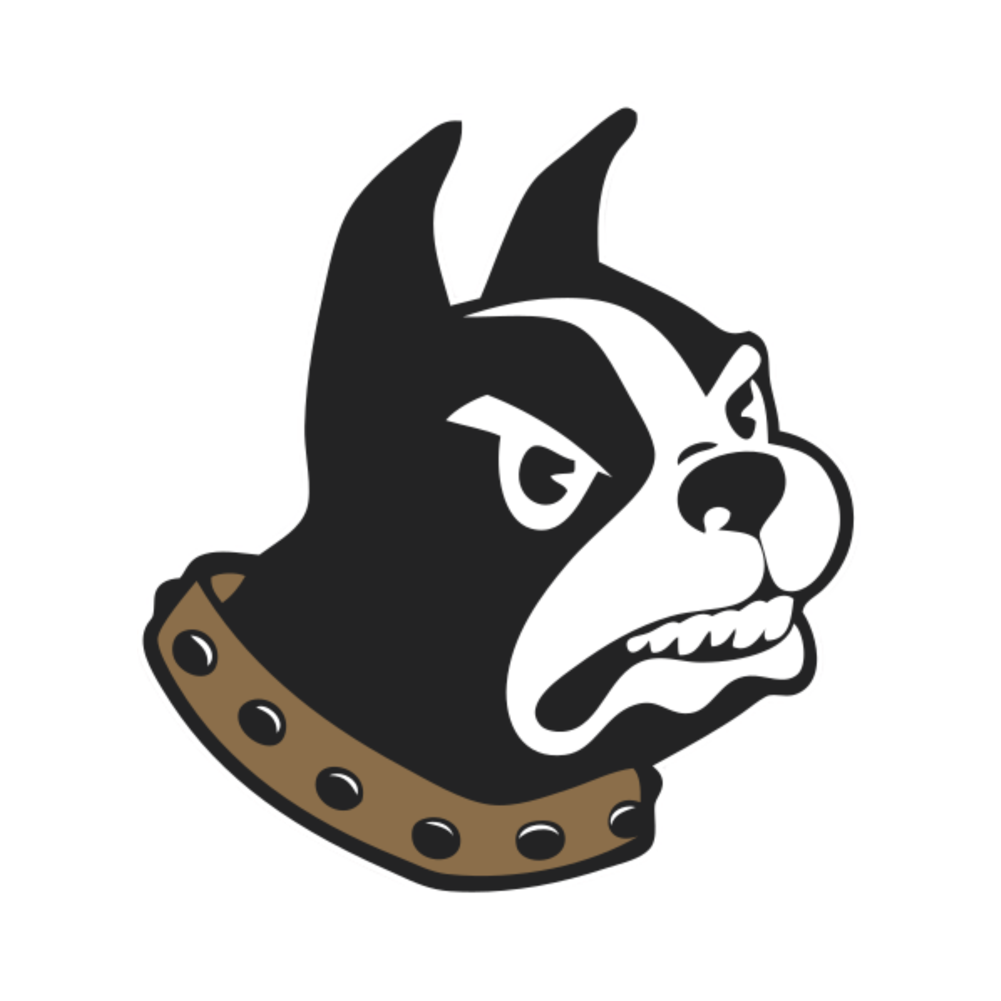 Wofford Terriers