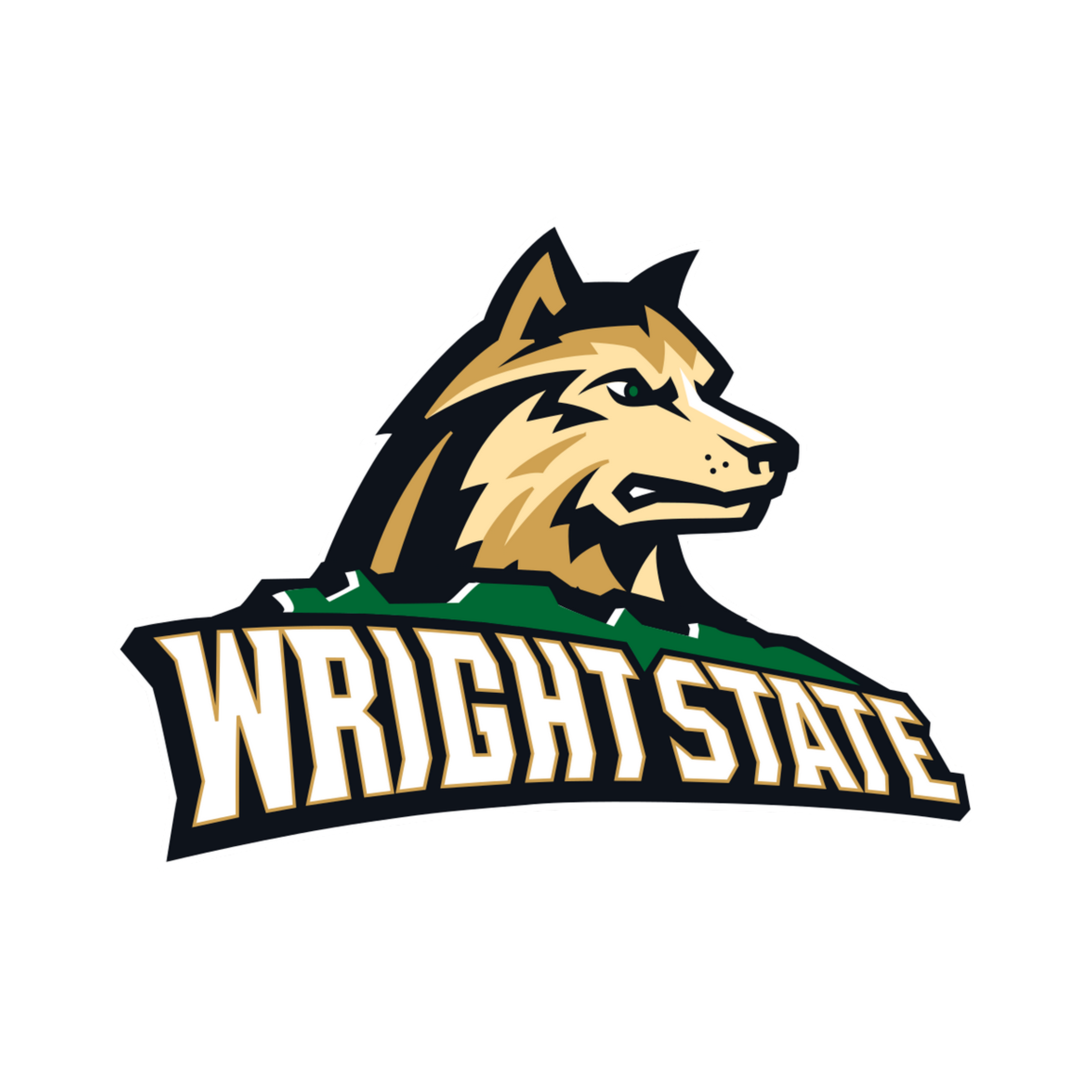 Wright State Raiders